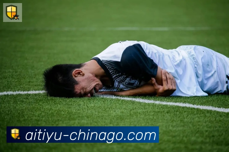 爱体育平台生态图